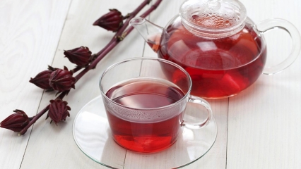 Queridinho das famosas, chá de hibisco seca a barriga